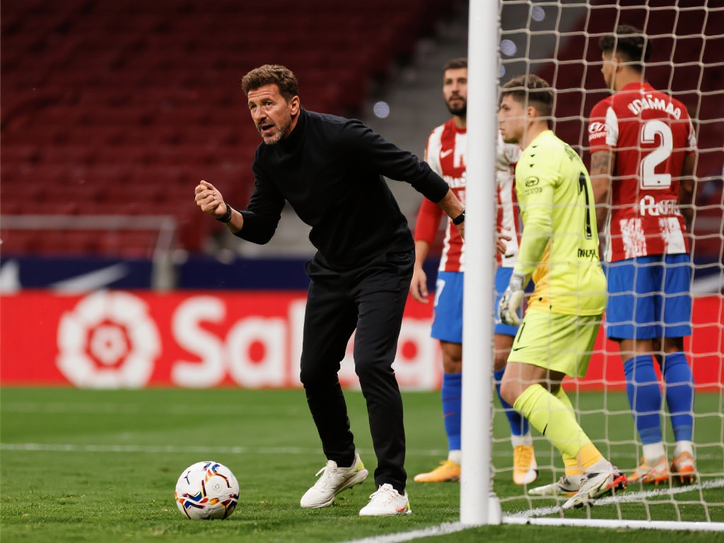 好选择视角 好选择视角